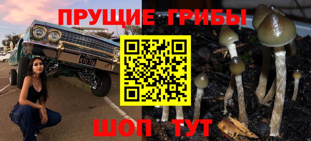 Псилоцибиновые грибы прущие грибы  Вход с VPN  Галлюциногенные грибы MAGIC MUSHROOMS  Орёл 